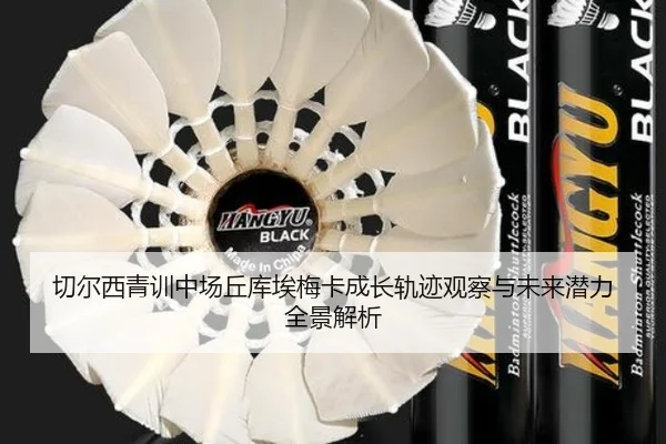 切尔西青训中场丘库埃梅卡成长轨迹观察与未来潜力全景解析